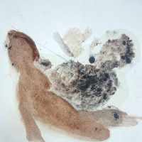 Zeichnung